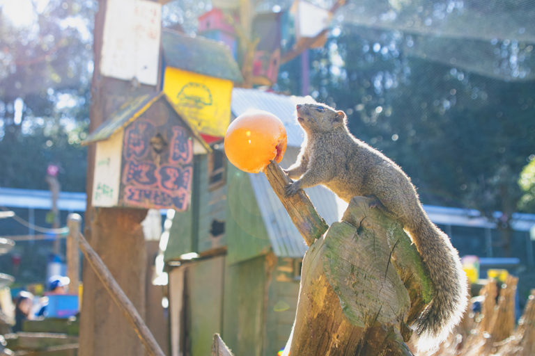 町田のイメージキャプチャ