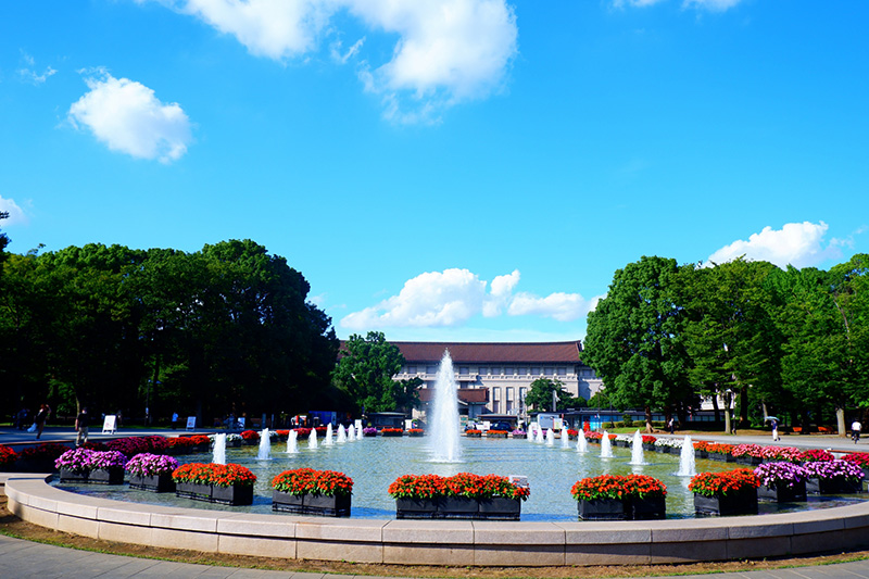 上野でおすすめのスイーツ店7選 食べ放題 ビュッフェ情報あり Cake Jp マガジン