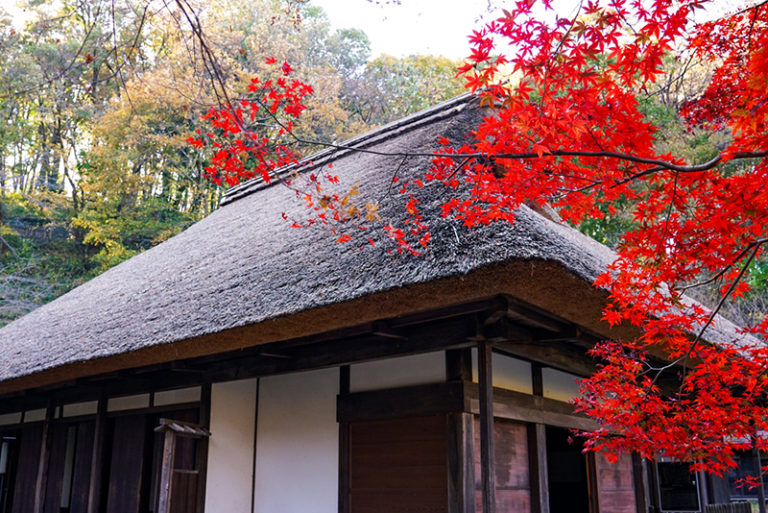 町田のイメージキャプチャ