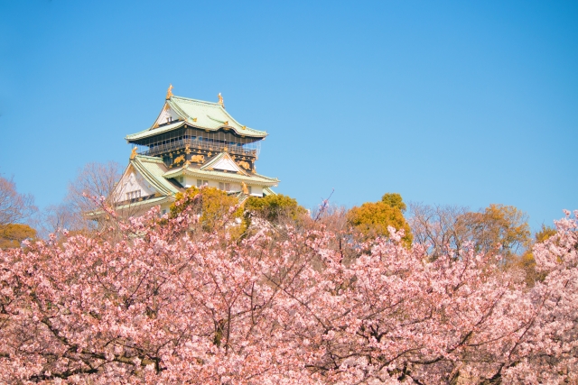 満開の桜と大阪城