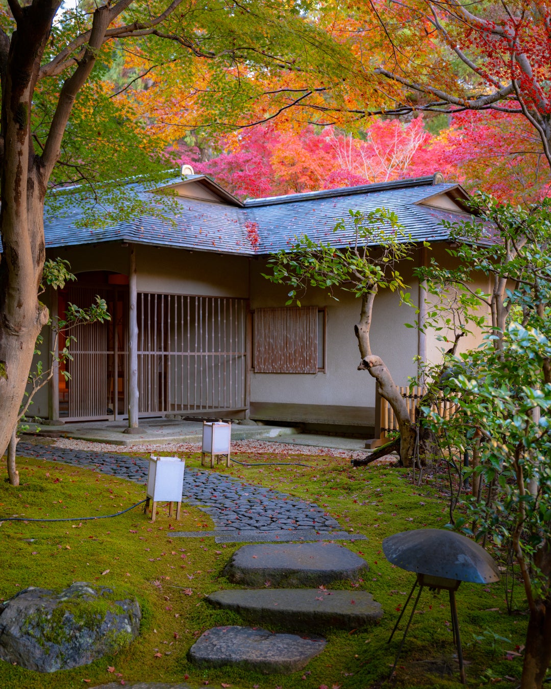 和のおもてなし空間「茶寮」の秋景色