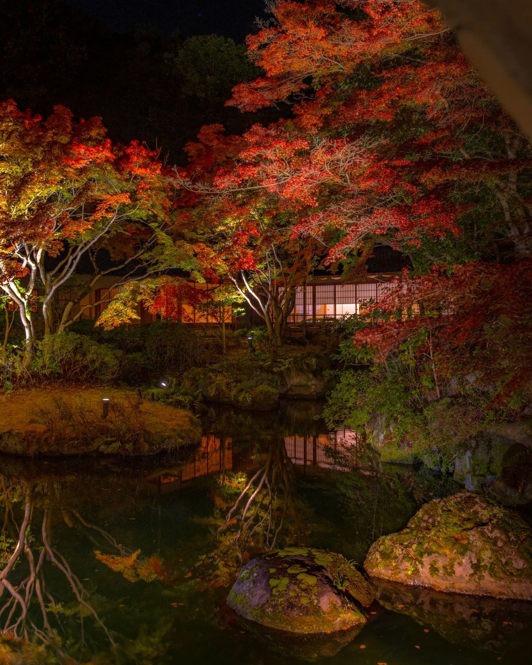 日本庭園（秋のライトアップ）