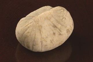 【御菓子司 美濃屋(みのや)】