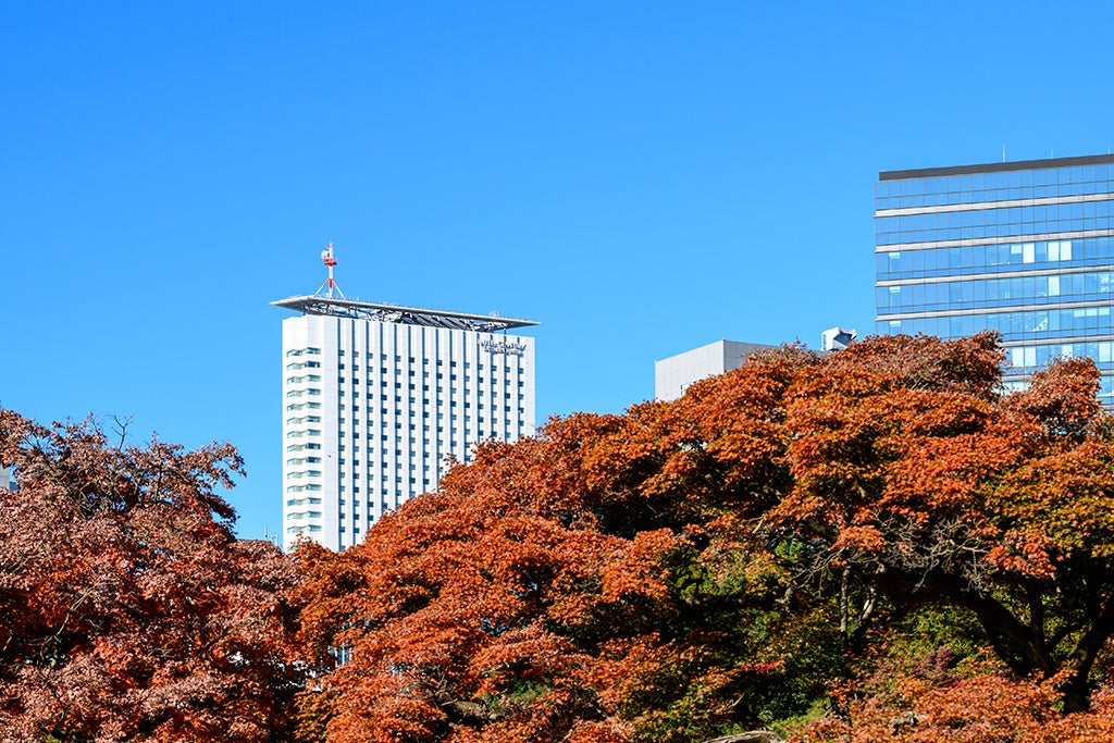 新宿御苑より望むホテル外観（秋）
